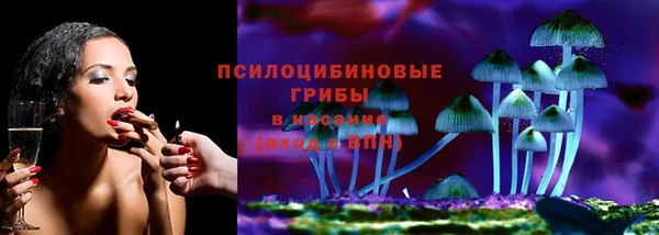 сатива Алексеевка