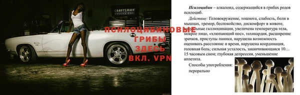 сатива Алексеевка