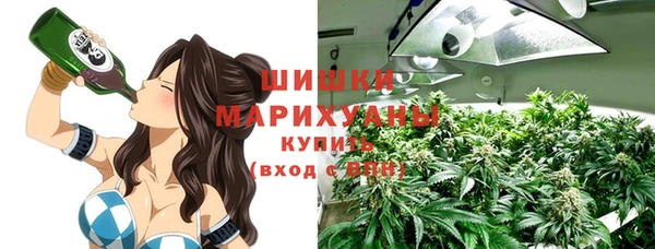 сатива Алексеевка